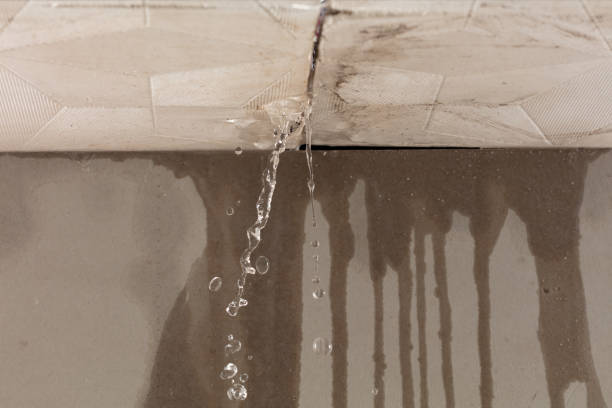 Professional Sewage Cleanup technician working in Proctorville, OH